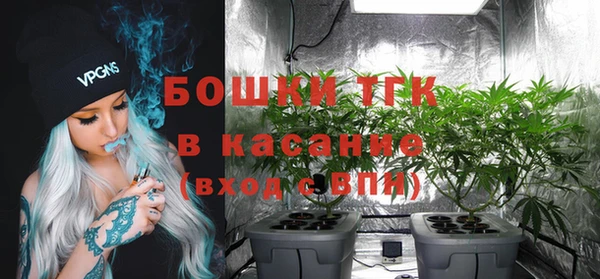 гашик Касимов