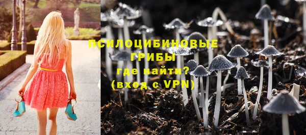 герыч Карпинск