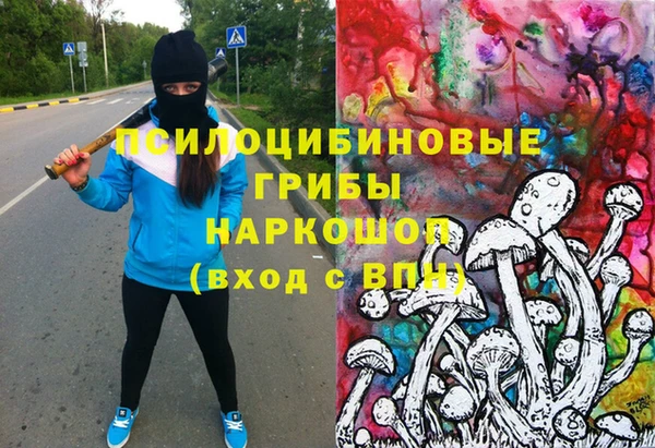 гидра Каменногорск