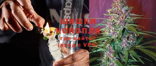 гидра Каменногорск