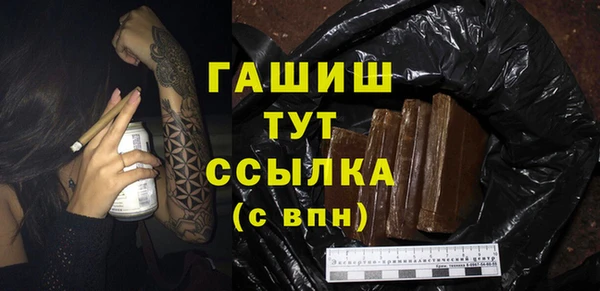 гидра Каменногорск